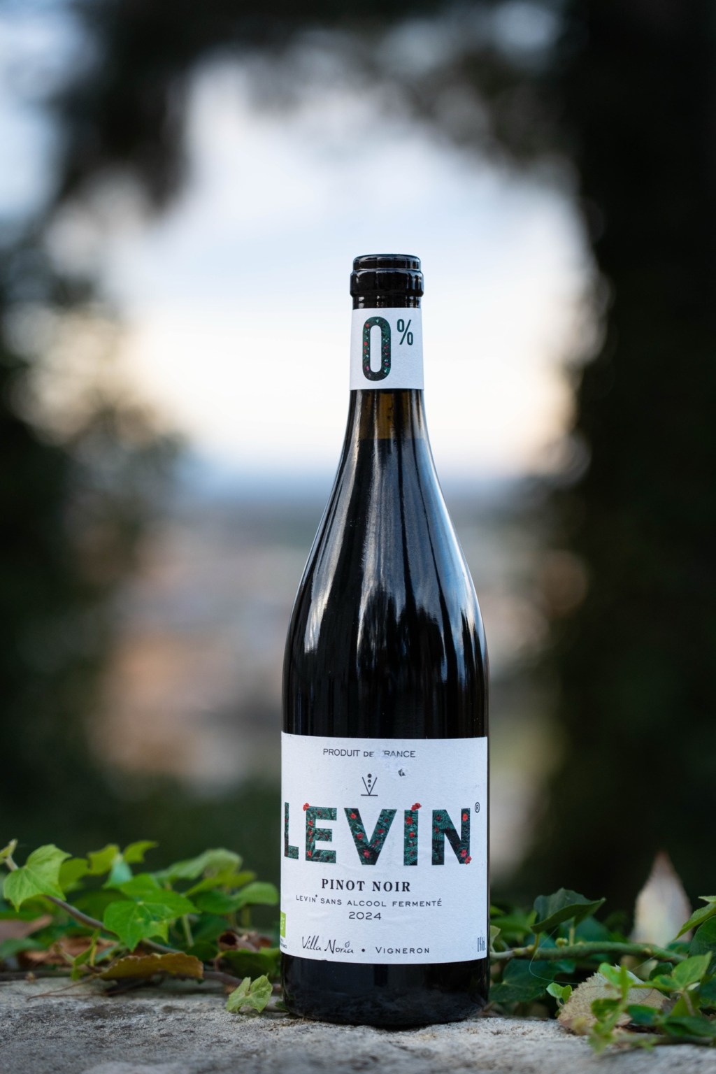 LEVIN 0% Pinot Noir : une alternative sérieuse aux vins&nbsp;desalcoolisés